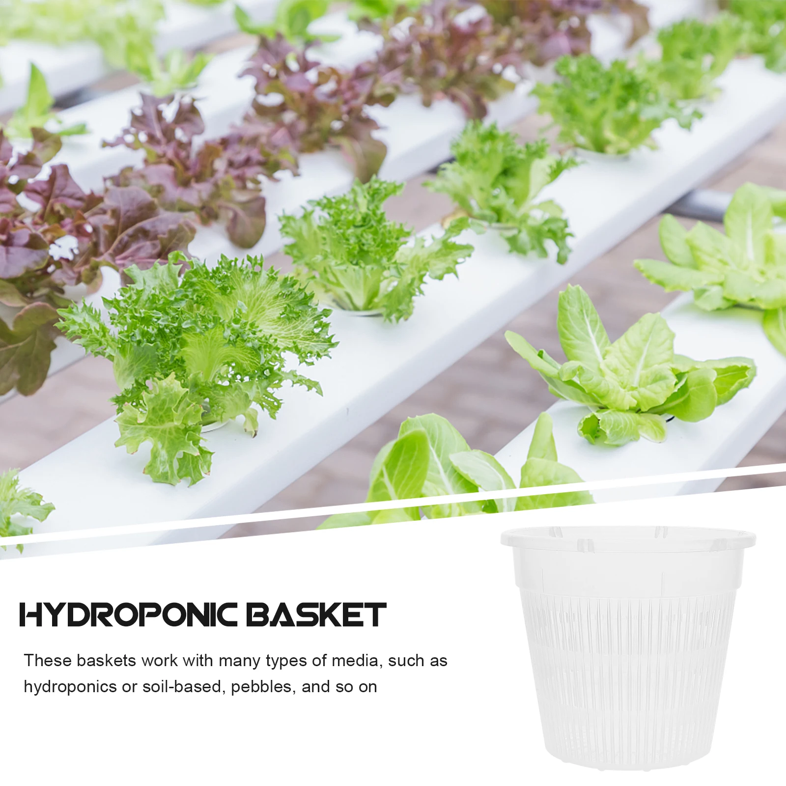 

5pcs Hydroponics Net Pot Clear chid Garden Containers Aquatic Plant Baskets Hydroponic Suitable Balcony Flower Nursery Pond