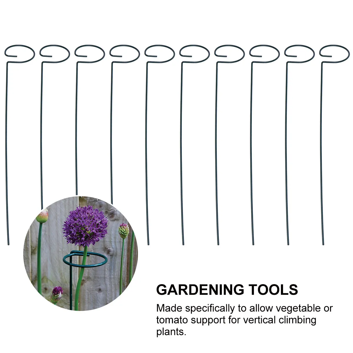 10Pcs Plant Support Metal Climbing Frame Iron Wire Plant Stakes for Vegetables Tomato Flower Stand Gardening Tools 16 Inch