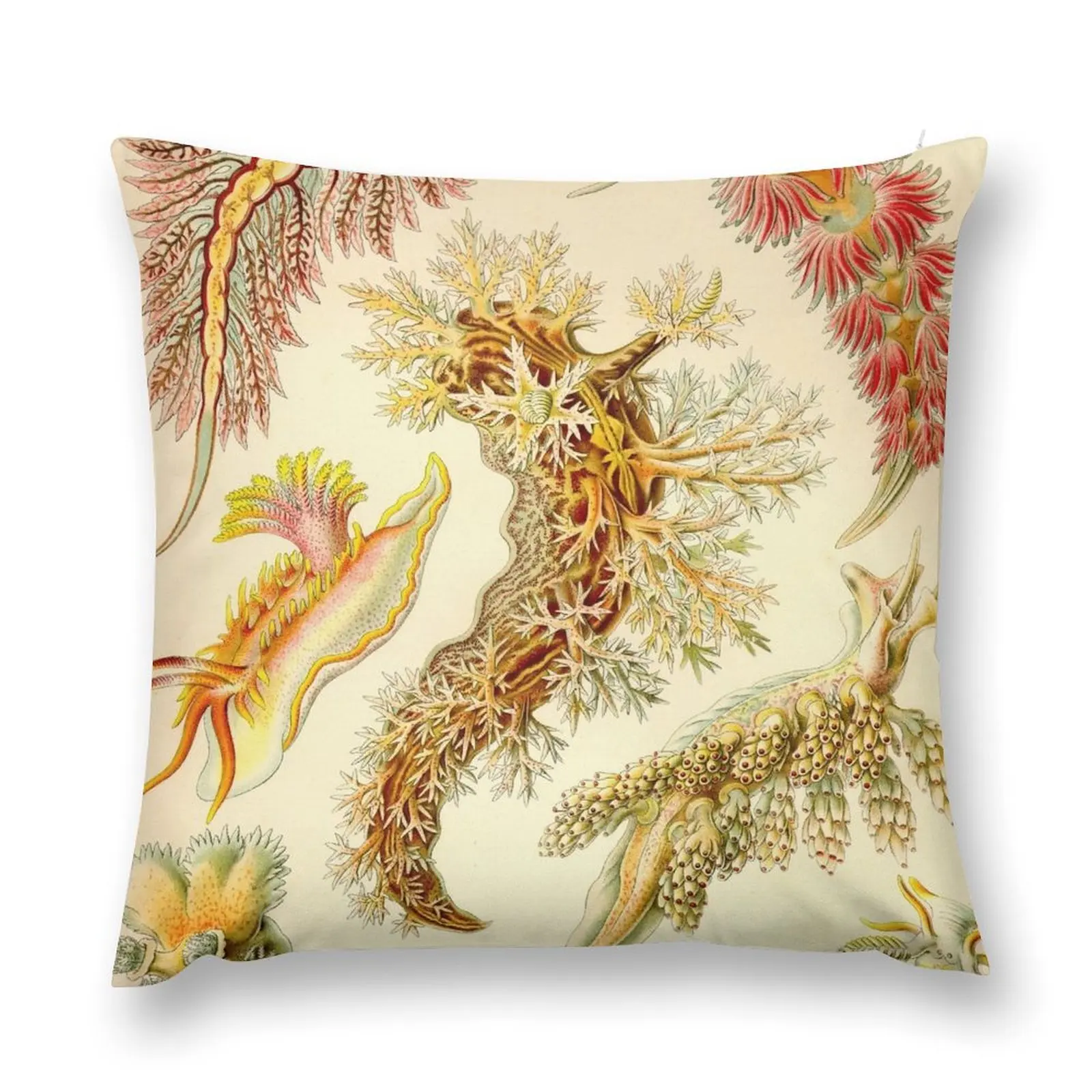 

Sea Slug - Ernst Haeckel Throw Pillow Cushions Cushion Cover Set Pillowcases autumn decoration pillow