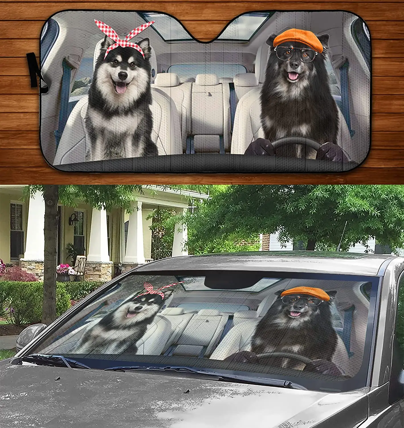 

Funny Two Finnish Lapphunds Driving On Summer Car Sunshade, Finnish Lapphund Couple Driving Auto Sunshade Car Windshield Visor