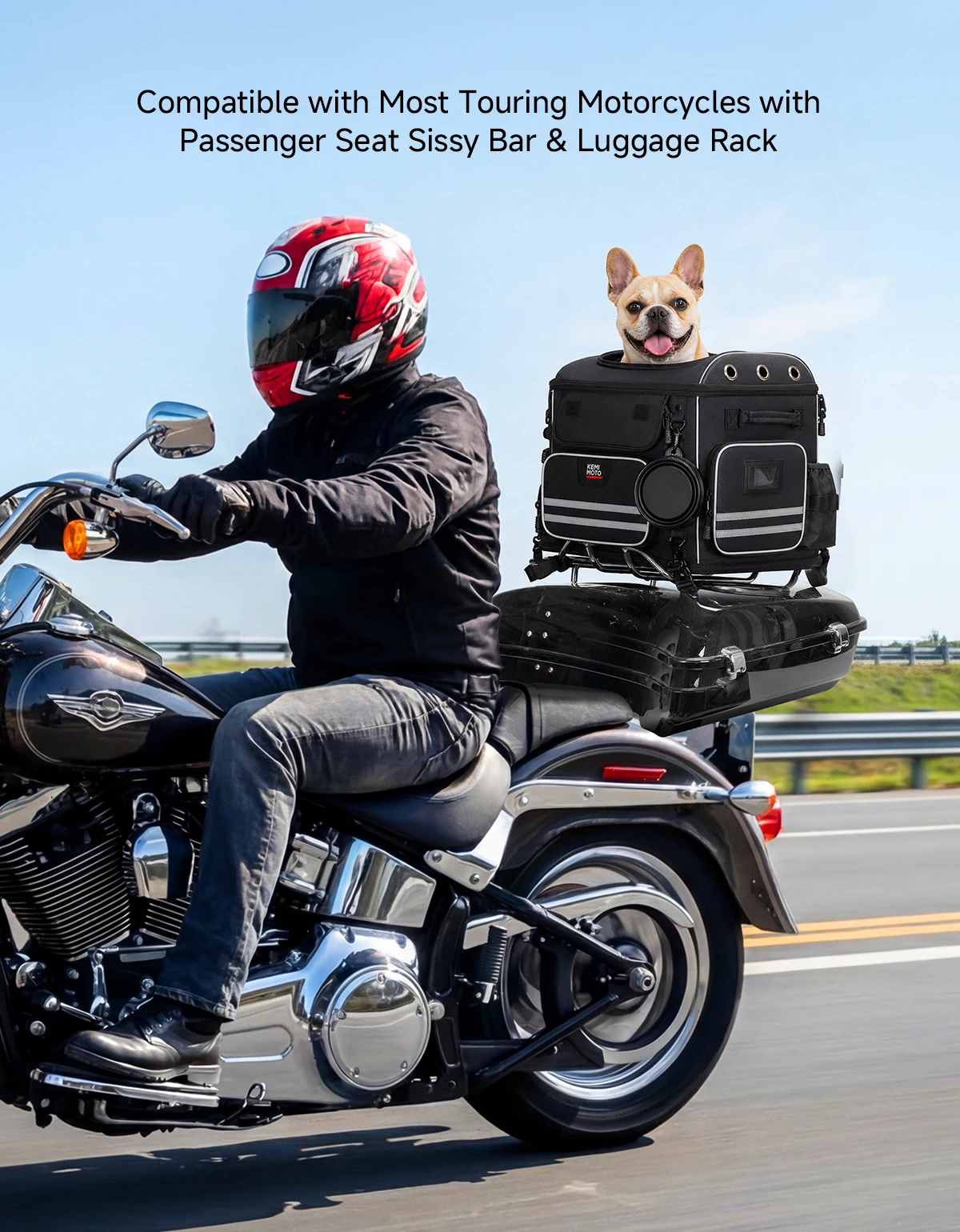 Motorcycle Pet Carrier Bag Dog Cat Bag for Street Glide Road King Electra Glide Passenger Seat Luggage Rack Touring Trike Models