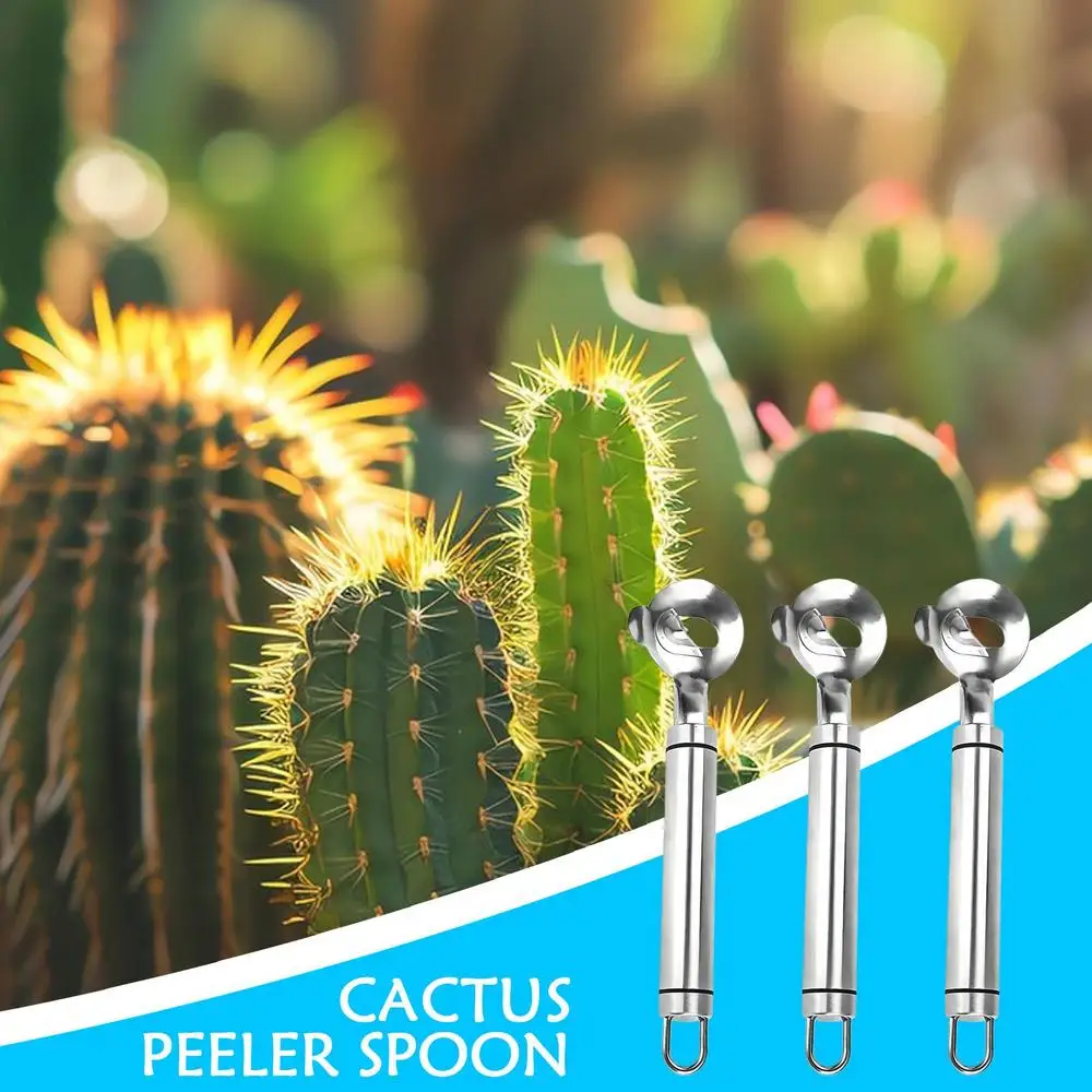 Home Kitchen Tool Peeler Multifunctional Stainless Steel Nopal Peeler Kitchen Accessories for Sliced Thorn Hole Mexican Cooking