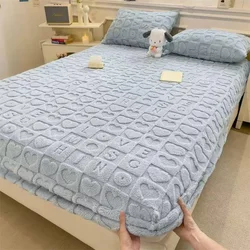 Milk Velvet Bed Sheet Winter Warm Coral Velvet Bed Cover Tafu Velvet 3 Pcs Bed Set Mattress Protective Cover with Pillow Cover