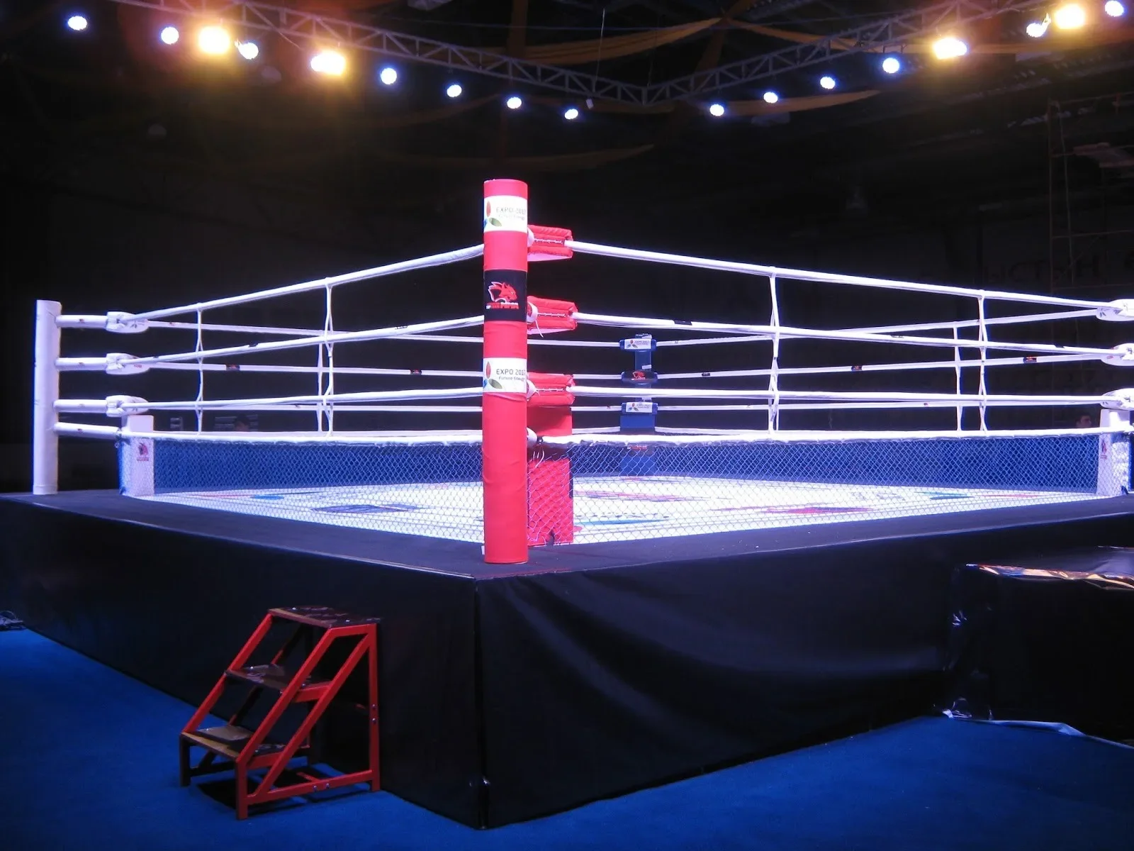 custom boxing ring de boxe usine au sol aiba wrestling steel cage fiba approved boxing ring mma muay thai octangle cage