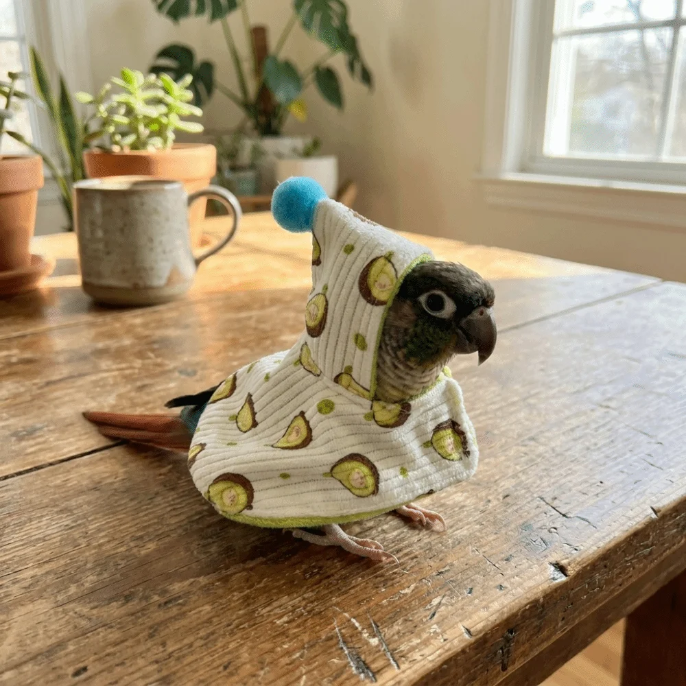 Cute Thickened Bird Winter Jacket Warm Soft Winter Parrot Cloak Fruit Pattern Windproof Pet Birds Outerwear Autumn Winter
