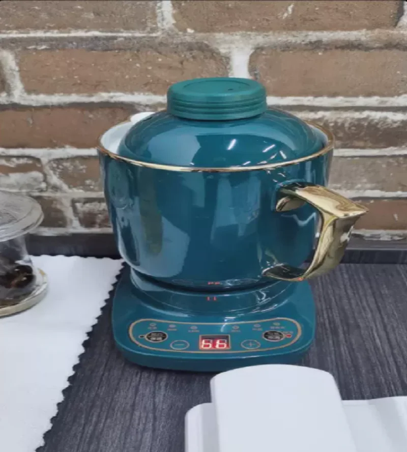 110 فولت/220 فولت غلاية كهربائية شاي سيراميك دفئا الرعاية الصحية الحماية من الحرارة الزائدة لليابان الولايات المتحدة الأمريكية كندا DW #1