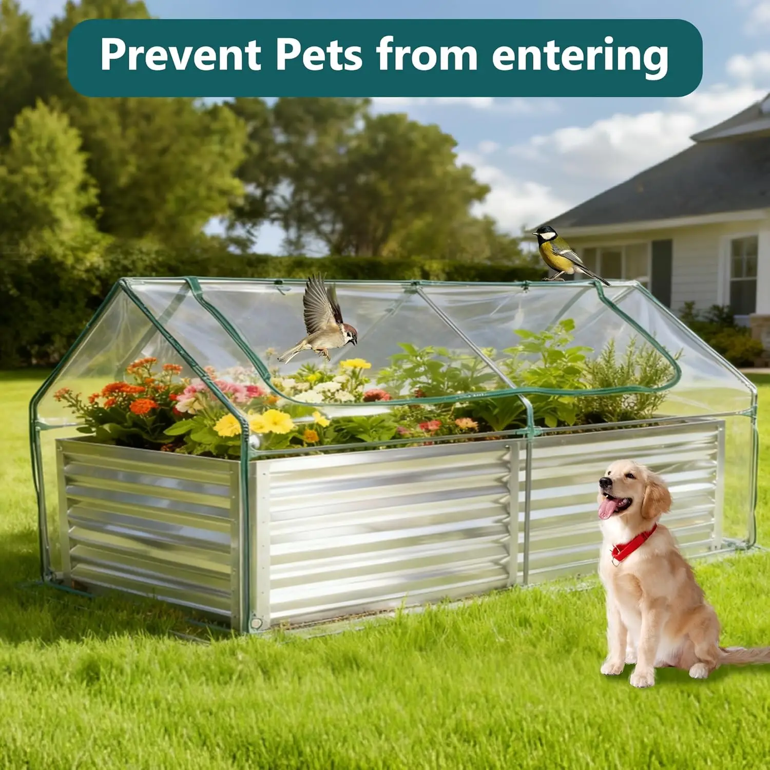 سرير حديقة مرتفع في الهواء الطلق مع غطاء مقاوم للماء لزراعة الخضروات، مجموعة صندوق زراعة مقاوم للبرودة مع شاشة كبيرة واي فاي #2