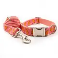 Collar Leash Set