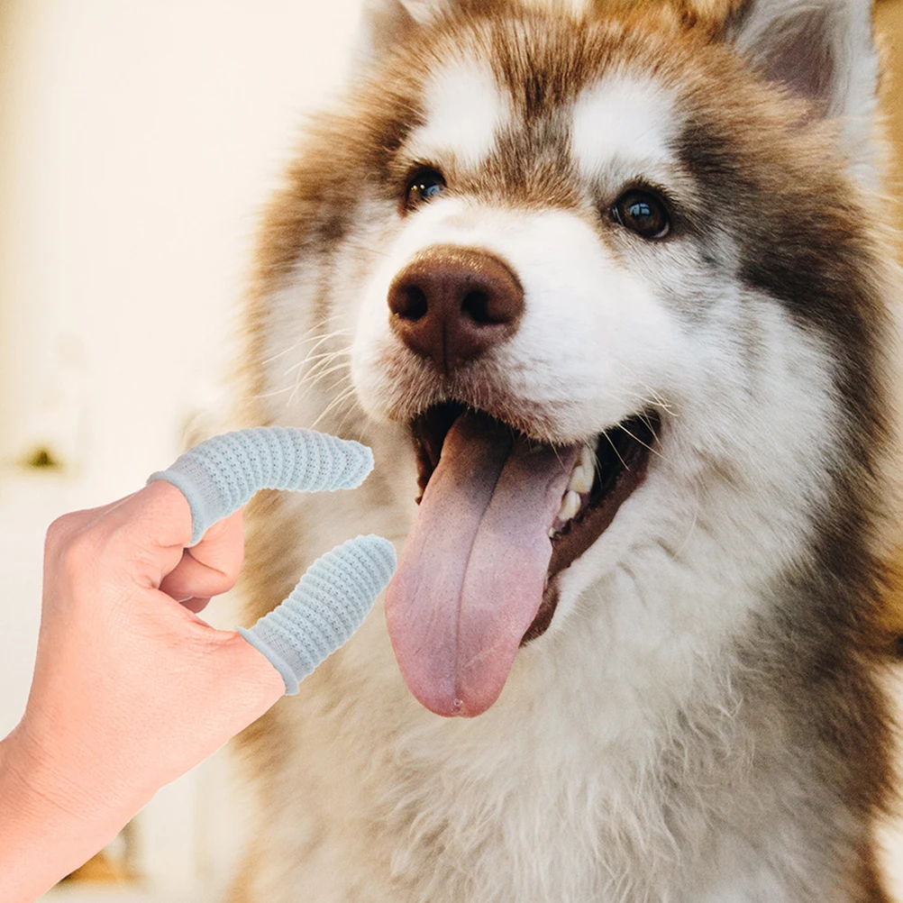

12 Pcs Finger Toothbrush Dog Puppy Comfortable Pet Small Dogs Polyester