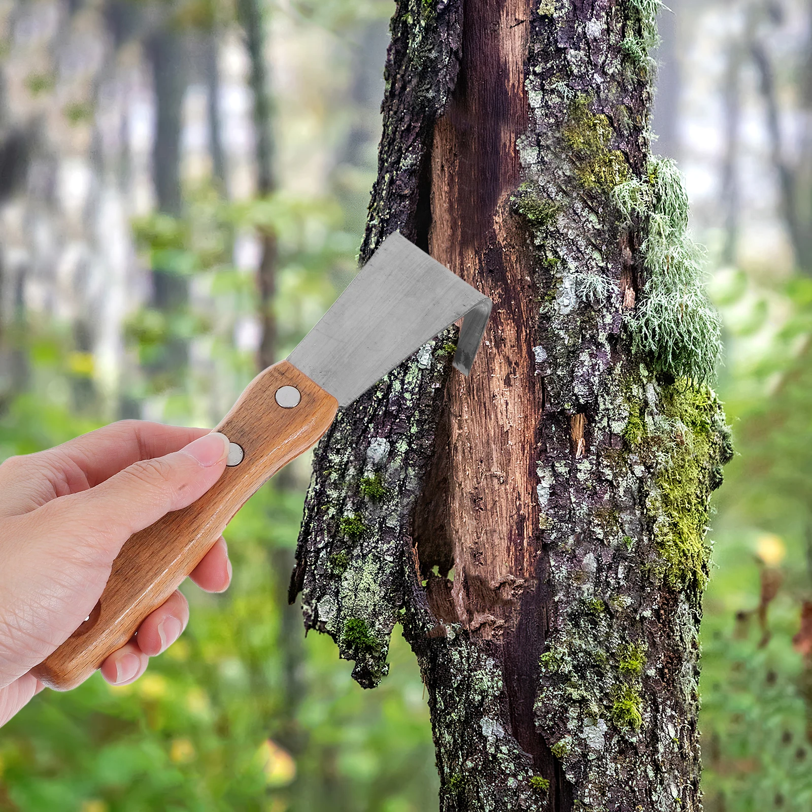 

Scraping Bark Tool Debarking Hand Wood Pry Double Handle Removing Garden Stainless Steel Tree Versatile Manual Fruit Yard