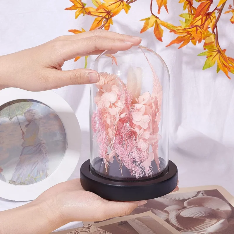 10-50pc Transparent Plastic Preserved Flower Display Jar Dustproof Eternal Flower Storage Box DIY Dried Flower Ornament Display