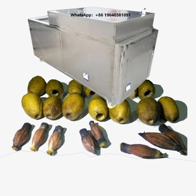 Commercial High-Capacity Olive/Plum/Date Core & Seed Remover Machine - Automatic Fruit Pitting Equipment for Processing Plants