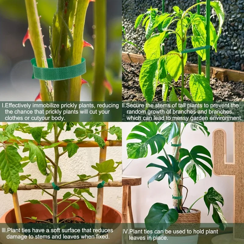 50/100 Stück Nylon-Pflanzenbinder, verstellbarer Klettverschluss, wiederverwendbar, rutschfest, für Gartenpflanzen, Stützband, Heim-Gartenzubehör – Detail 5