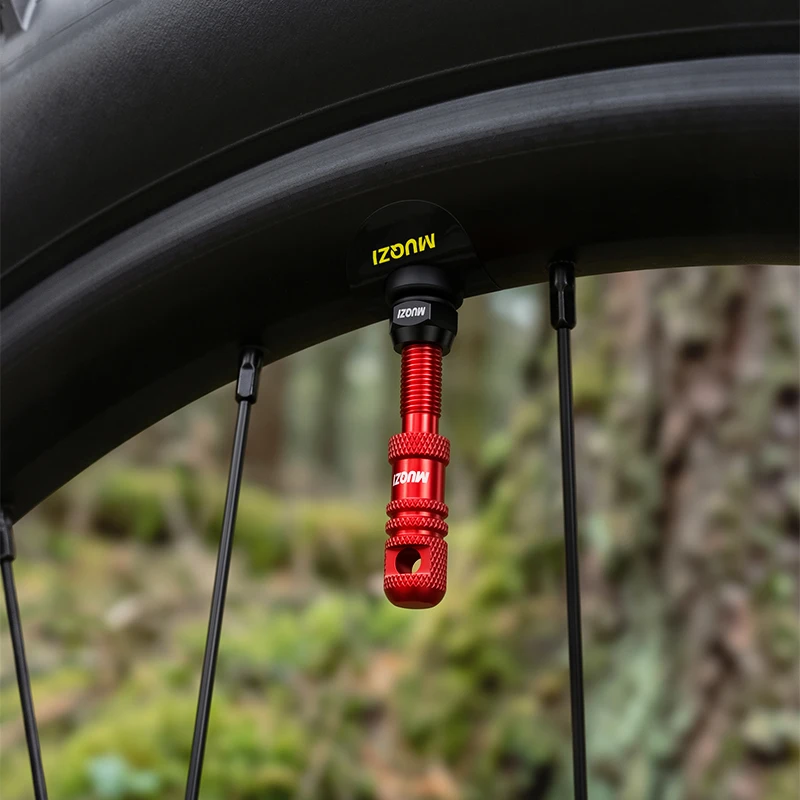 Katup Tubeless Presta MUQZI 45 - Tubeless Valve Core ulasan dan harga