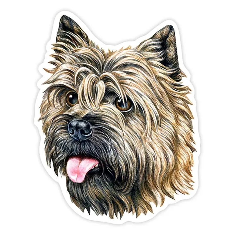 

Various Sizes Self-adhesive Decal Cairn Terrier Dog Car Sticker Waterproof Auto Decors on Bumper Rear Window 8/13/17/20CM