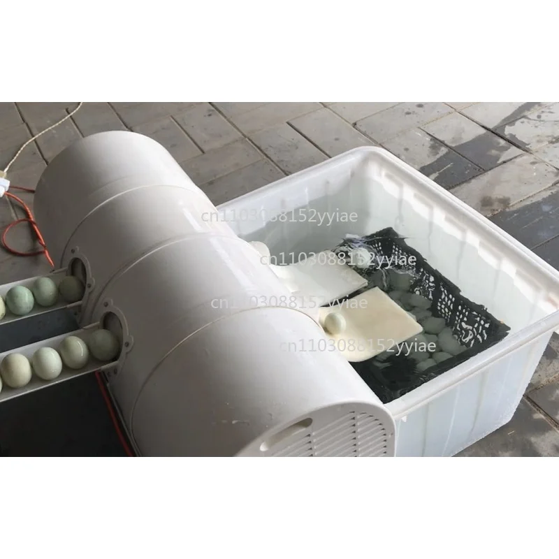 Farm & Food Factory Egg Cleaning Machine - Genuine New Chicken/Duck Egg Washer