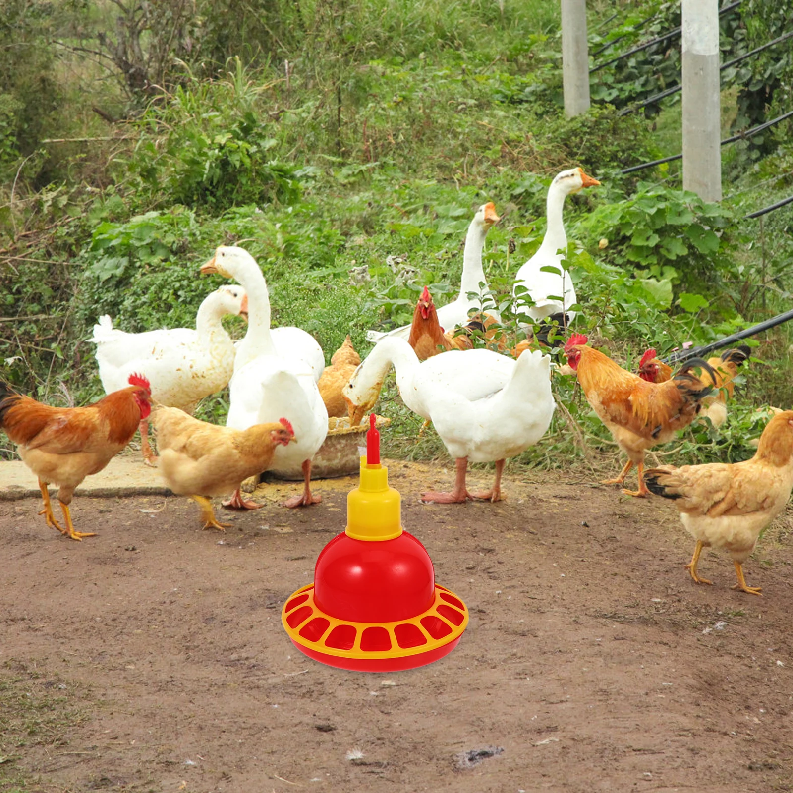 

Water Feeder Durable Plastic Poultry Chick Waterer Kit Farming Tool Holder Feeding Supplies Automatic Bowl Container