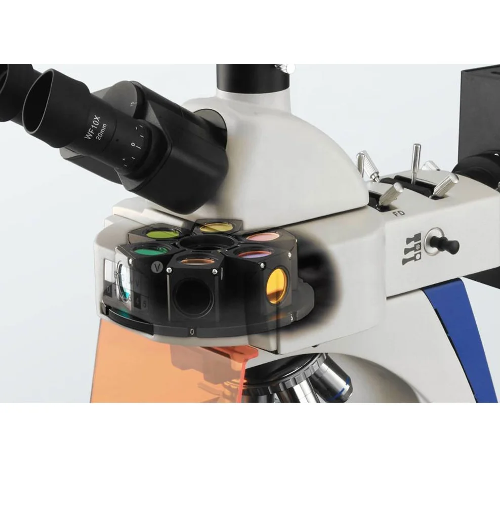 Heißes beliebtes trinokulares Laboratory Xsz 107bn Darkfield-Digitalmikroskop mit LCD-Bildschirm