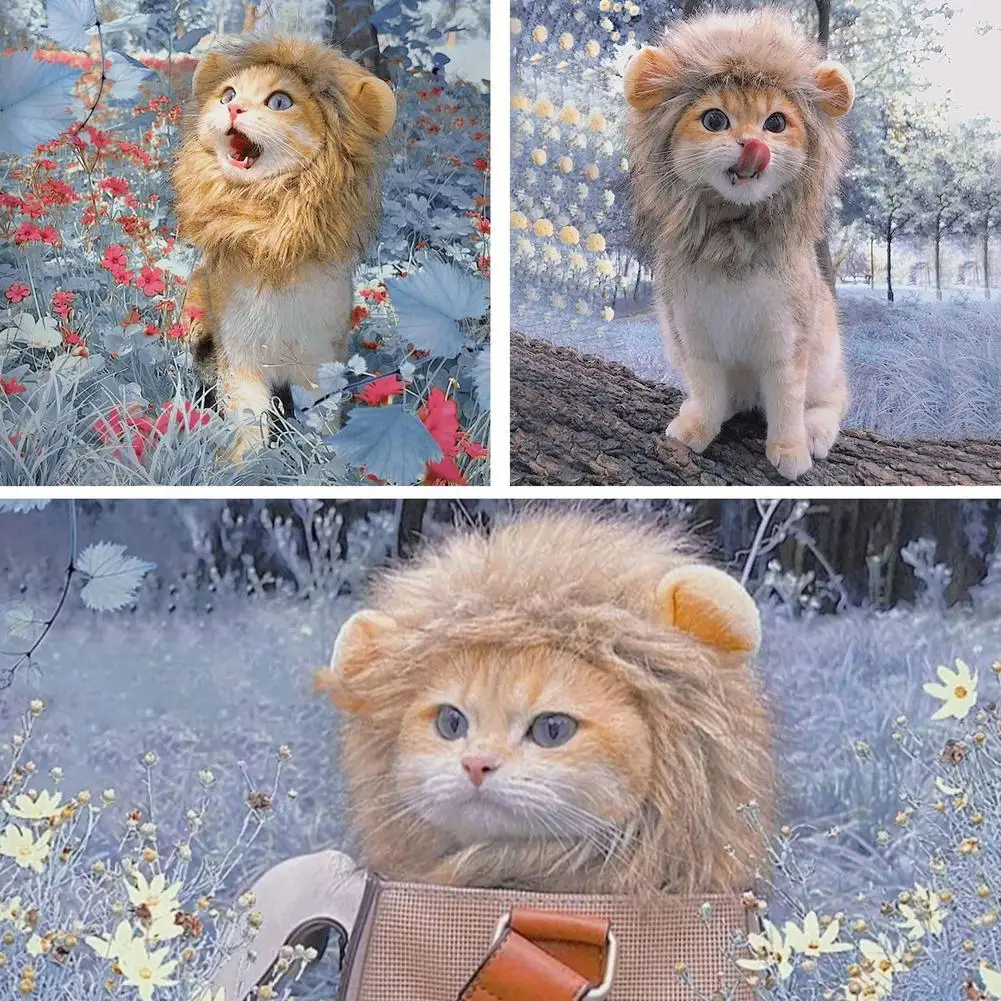 Cute Funny Pets Clothes Cap Cute Cat Wig Lion Mane Costume Cosplay Kitten Dog Hat with Ears Fancy Costume Pet Accessories