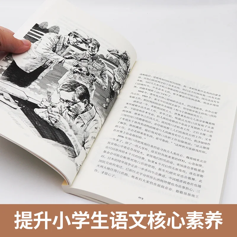 The Evolution Process of Human Origin, Must Read Extracurricular Books