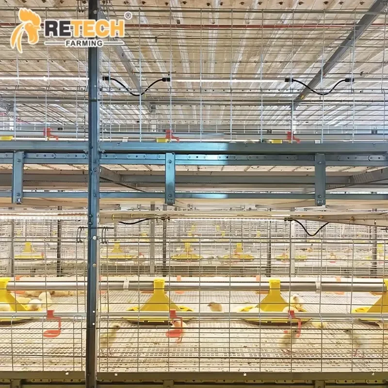 Automatic Chain-type Harvesting Broiler Poultry Cage Equipment H Type for Retech Farming Design in the Philippines