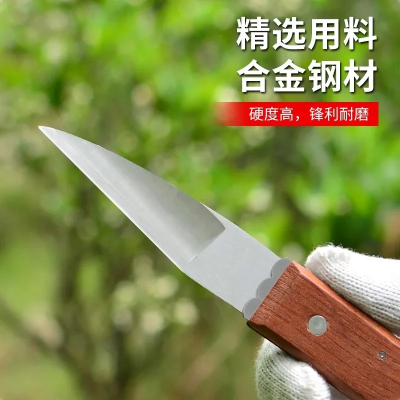 Folding Graft Knife Bud Graft Fruit Tree  Knife Wooden Handle Integrated Stainless Steel Graft Knife