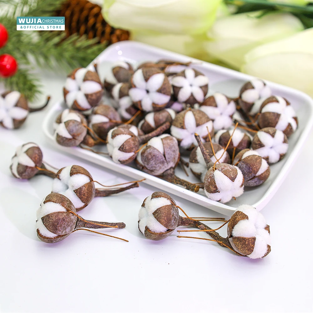 Flores secas naturais do algod - Dried Flower Bulk avaliação e preço