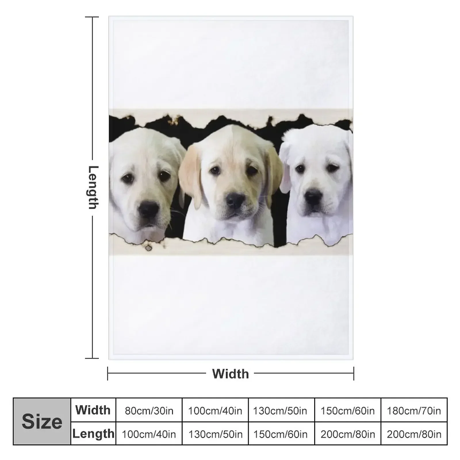 Three Little Labs Throw Blanket couch cozy soft plush fuzzy picnic outdoor blanket