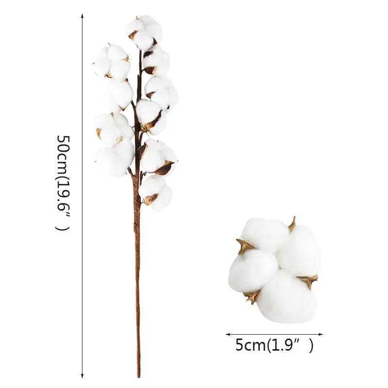 10heads/bouquet White Dried Flowers Natural Cotton Flower Branch Decorations for Home Gardening Craft Wedding Floral Decor Fern