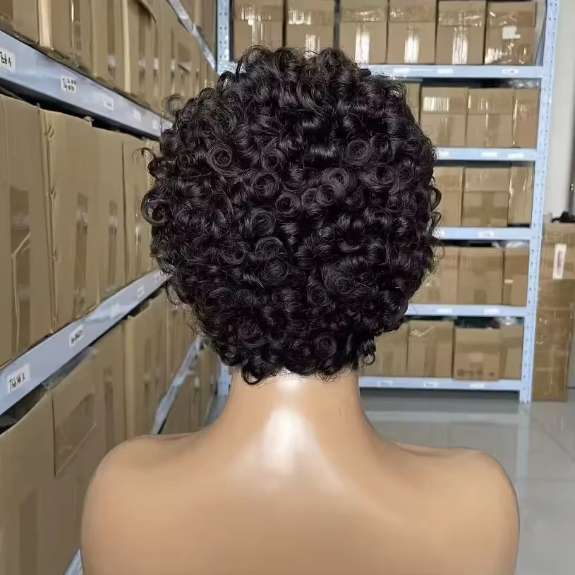 Grade 12A Lace Frontal 13x4 Pixie Curly Perücke, Pixie Cut Perücke aus Echthaar, lockiger Bob, kurze Pixie Cut Lace Perücke für Frauen – Detail 5