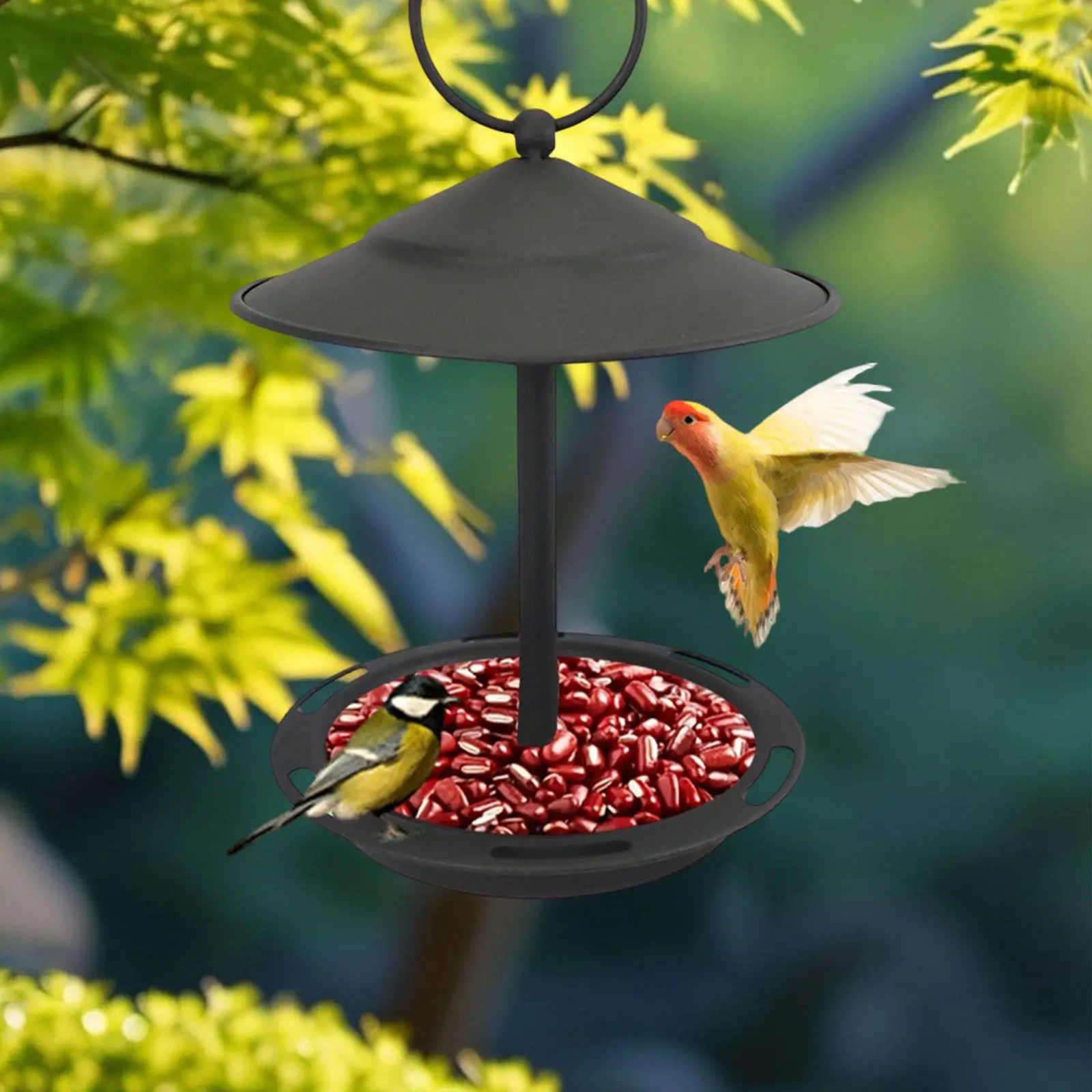 Metall-Vogel-Wasserschale Hängende Bade- und Futterstation Langlebiger Outdoor-Vogelfutterspender für Hof und Balkon