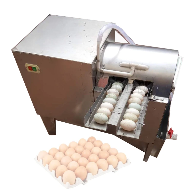 Stainless Steel Brush Washing Egg Machine Cleaning Dirty Duck Eggs Machine Poultry Egg Washer