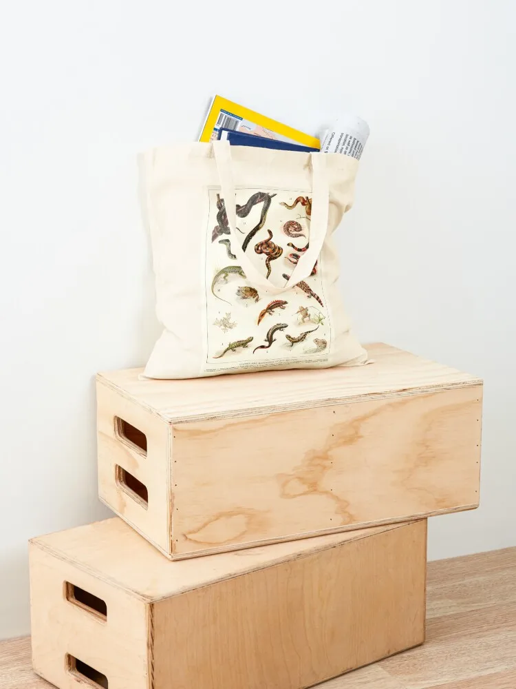 Adolphe Millot - Batraciens et reptiles - ملصق حيوان فرنسي عتيق حقيبة حمل حقائب رجالية حقائب كبيرة للنساء