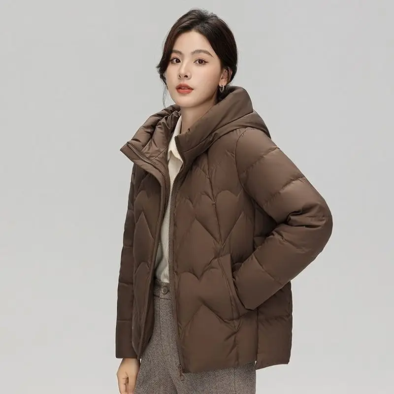 Winter Women's Down Cotton Jacket Loose Hooded Casual Jacket