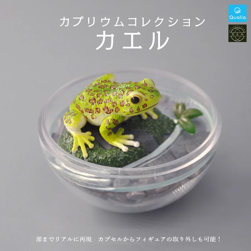 Authentic Frog Bonsai - Toad, Tree Frog & Rain Frog Miniature Landscape Model