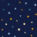 Night Sky