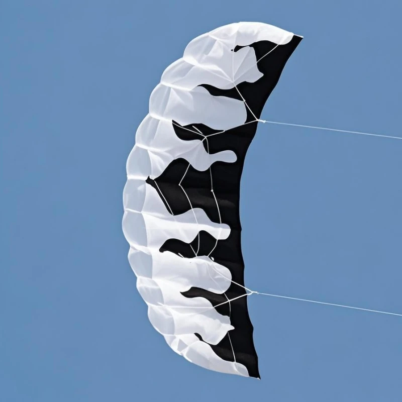 Nieuwe beginner kitesurf dual Line Stunt power Kite voor volwassenen kite parafoil parachute surfen sport vliegers professionele kite serieel