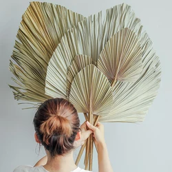 Palm Fan Leaf Palm Leaf Window Reception Party Art Wall Hanging Decoration Wedding Arch Arrangement