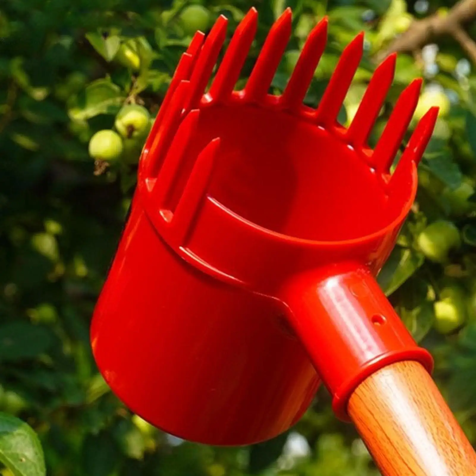 Sturdy Fruit Picker Tool with Comb Teeth, Portable Tree Fruit Harvesting Pole for Garden & Orchard, Durable Berry Picker