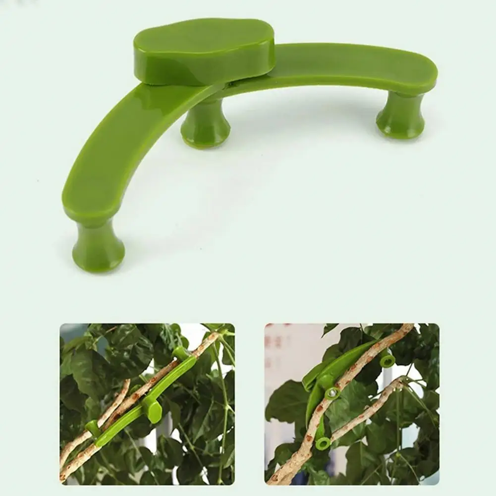 Branch Shaper Branch Holder Clip 10pcs Adjustable Plant Branch Bending Holder Set for Shaping Flowers Fruit Trees Weather