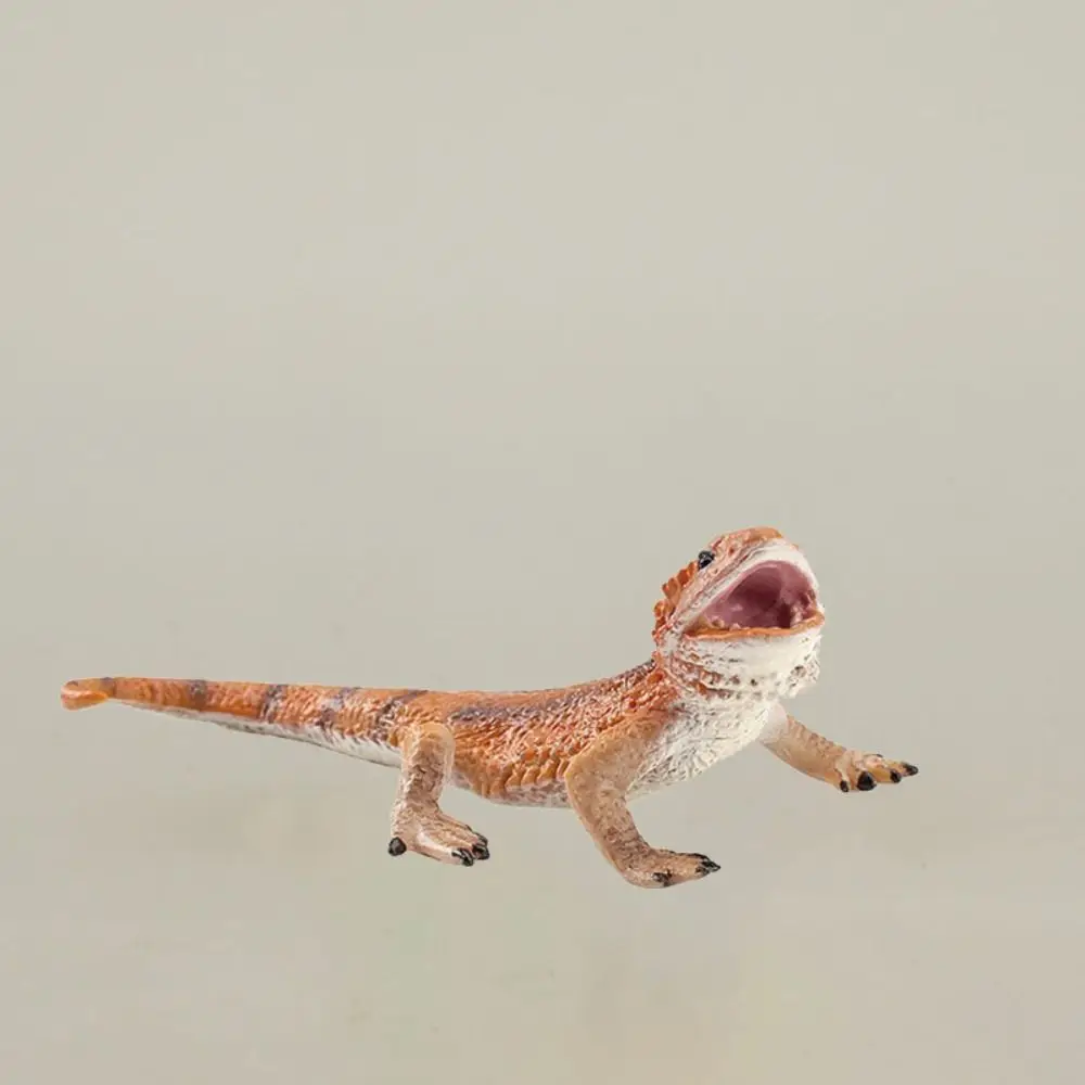 PVC Simulation Wild Reptile Model Handmad Statue Lizard Action Figures Crafts Collectible Reptile Amphibious Figurines