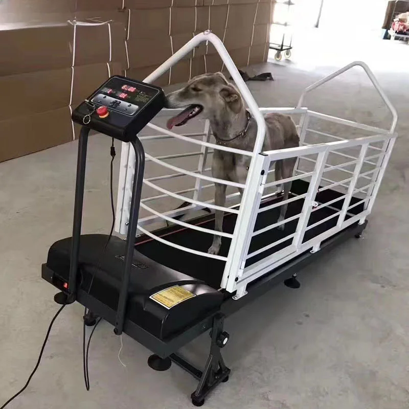 

Dog treadmill Pet treadmill Electric treadmill for dogs