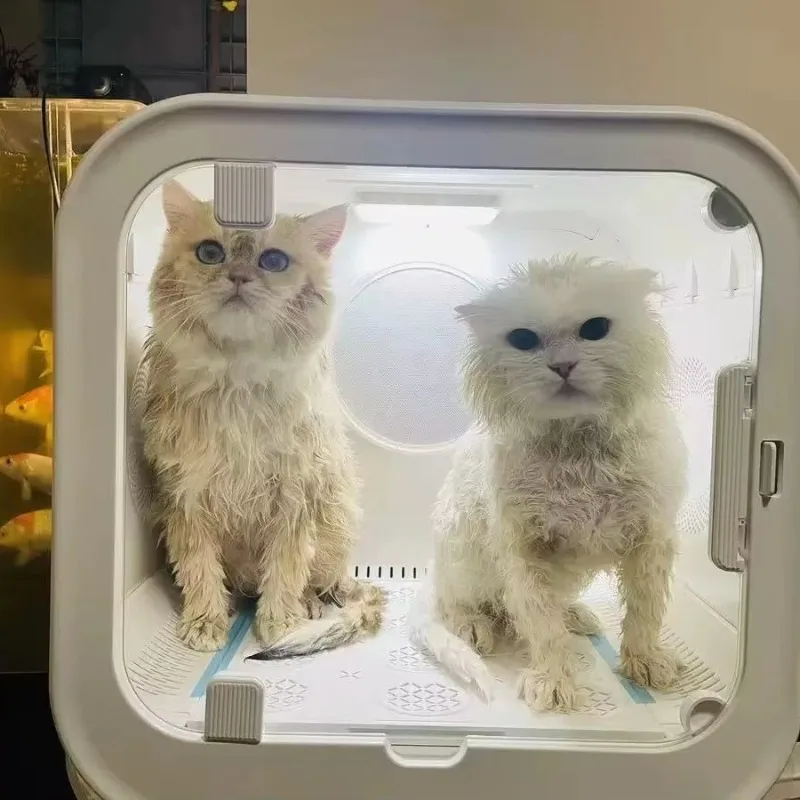 Smart Automatic Eco-Friendly Pet Drying Box for Cats & Dogs Quiet Hands- Dryer Fast Drying Big Capacity 65L Multi-Function