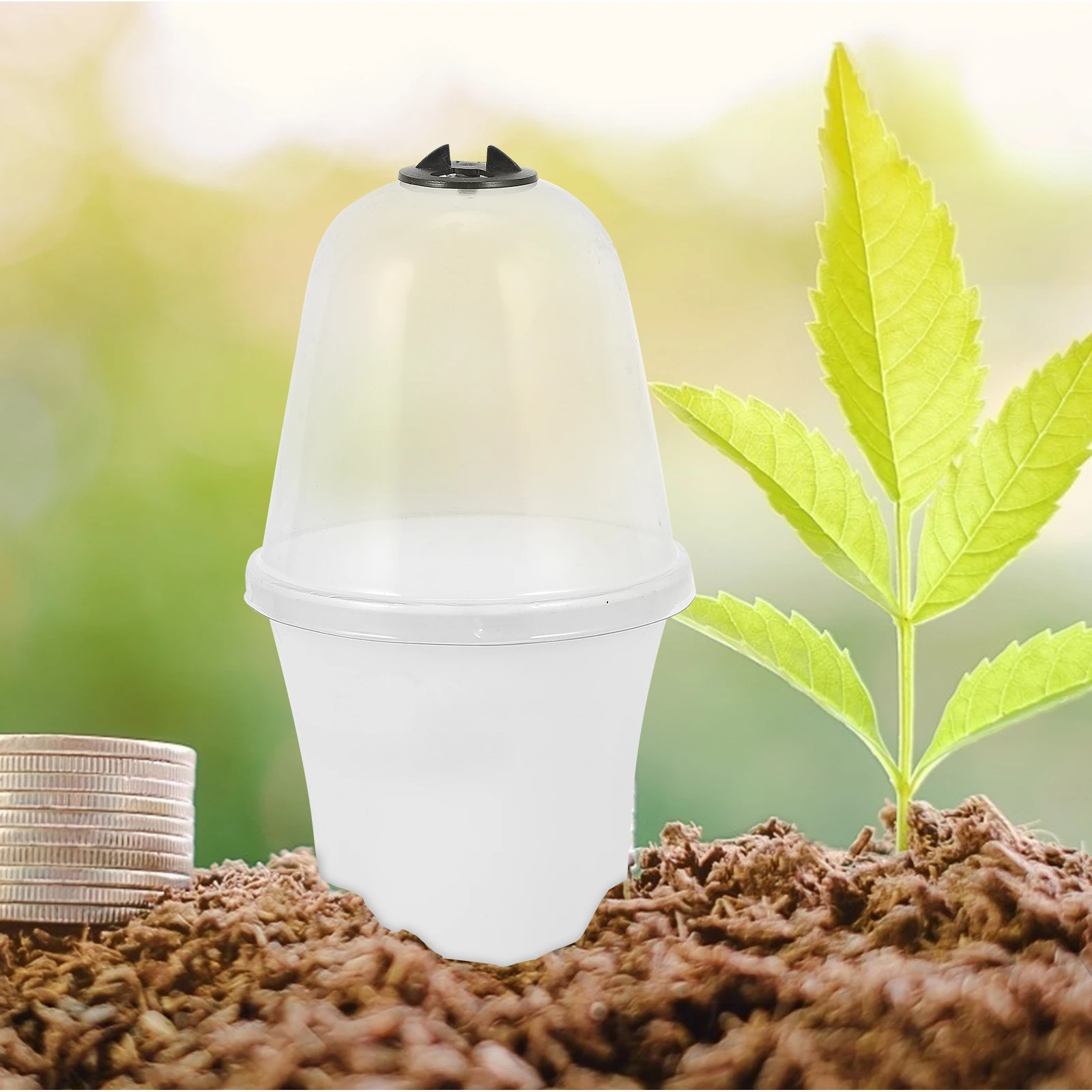 

2 Pcs White Mini Plastic Flower Pot Set with Dome Lid for Succulents Planting Container Garden Yard Durable