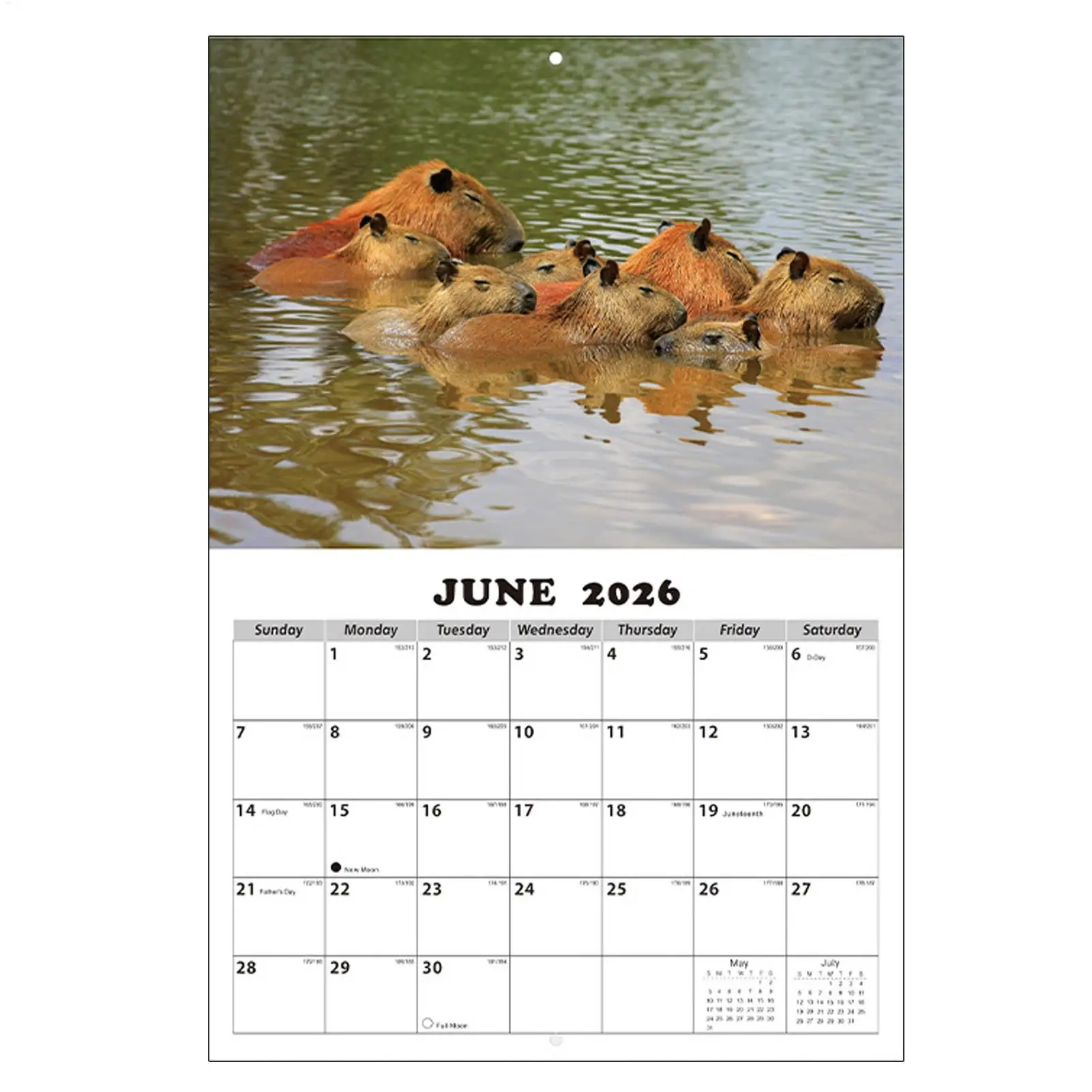 التقويم الشهري 2026-2027 جدار كابيبارا تحت عنوان مخطط إدارة الوقت الشخصي تقويم السنة المدرسية لمكتب المدرسة المنزلية #5