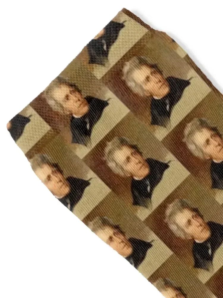 Andrew Jackson Socks FASHION Heating sock compression Mens Socks Women's