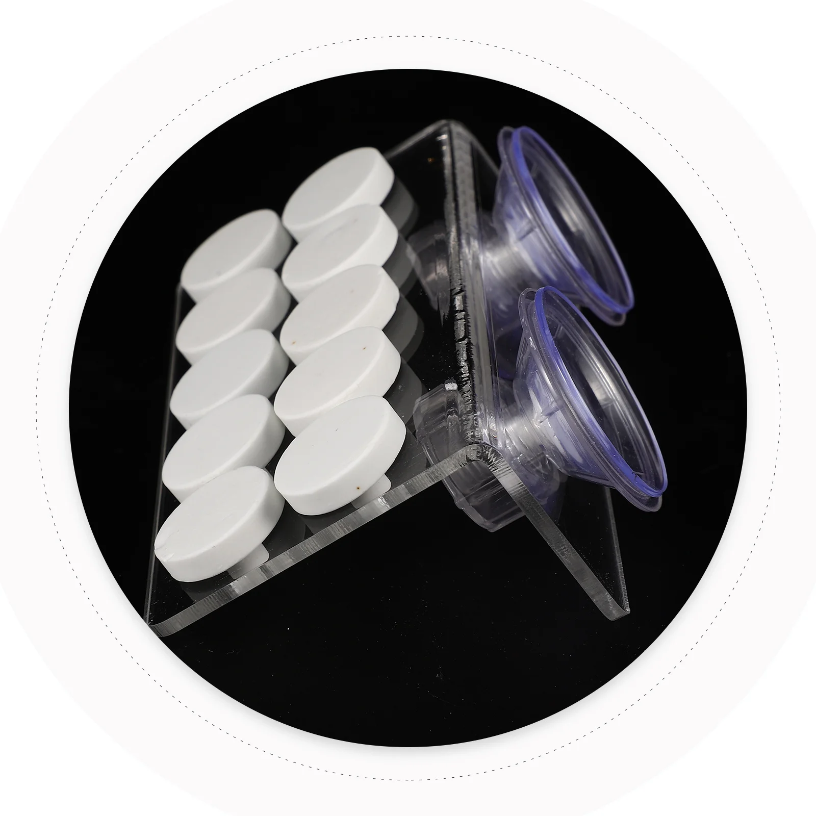 

Base Transparent Acrylic Frag Holder For Aquarium Reef Tank Lightweight Replaceable Coral Rack Household Coral Supply