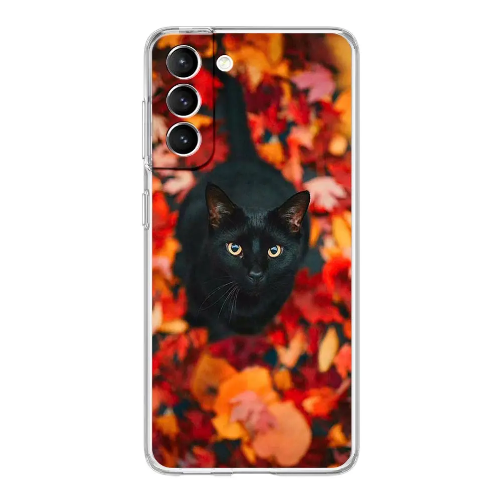 Leaves Maple Leaf Autumn Phone Case For Samsung Galaxy S21 Plus S20 FE S22 Ultra 5G S10E S10 S9 S8 Note 20 10 Lite Clear Cover