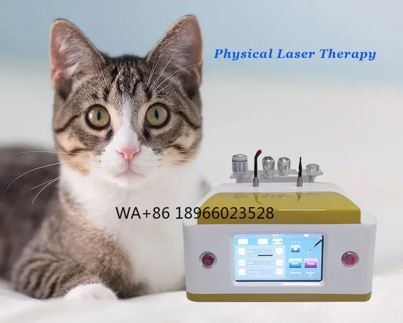 for pets Joints Infrared Light Low Level Veterinary Cats body pain  recovery veterinary surgical class 4 Veterinary