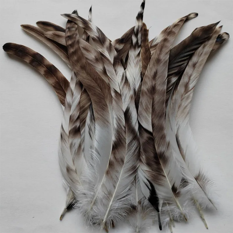 

100Pieces Natural Chinchilla Rooster Tail Coque Feathers 10-12inches 25-30cm Hair Extension Feathers